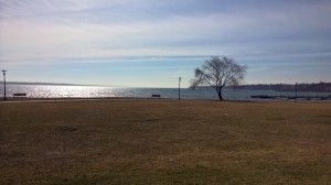 Birds flying over Seneca Lake