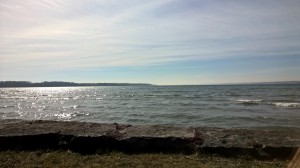 The rocky shore of Seneca Lake