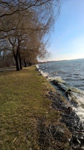 Lakeshore Seneca Lake