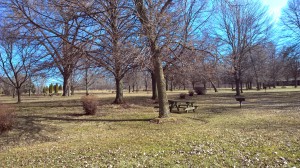 Seneca Lake Park