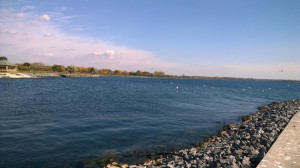 Birds at Seneca Lake    